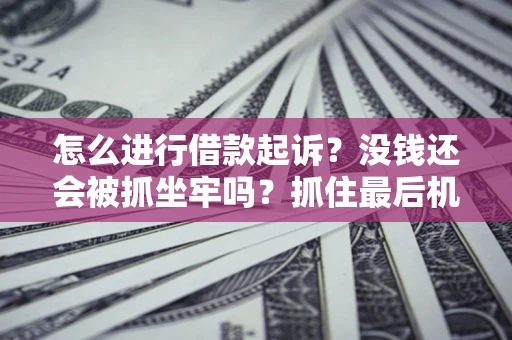 北京怎么进行借款起诉？没钱还会被抓坐牢吗？抓住最后机会！