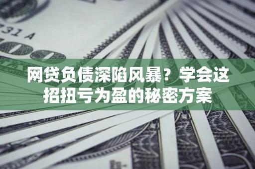 北京网贷负债深陷风暴？学会这招扭亏为盈的秘密方案
